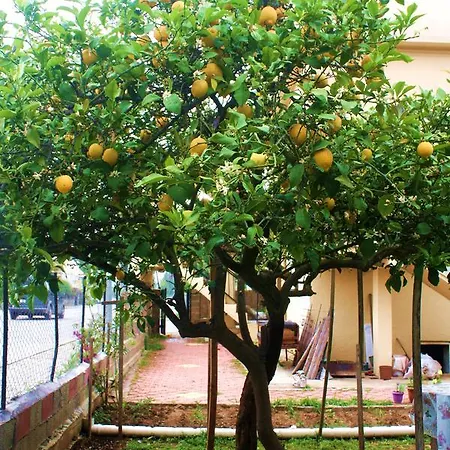 Eden فيلة فتحية